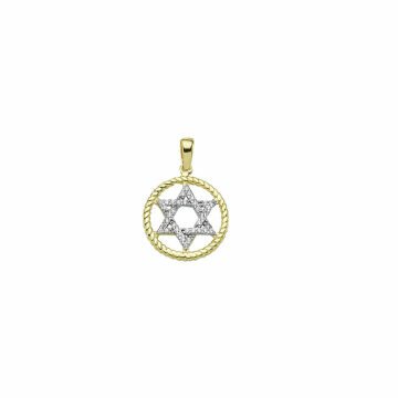 Beelo Gold 14K Altın Tasarım Davud'un Yıldızı  Kolye Ucu